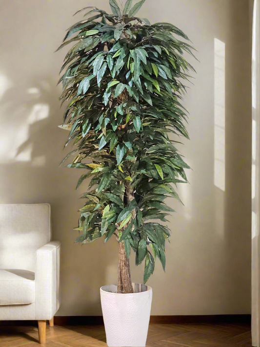 7' MANGO LEAF TREE