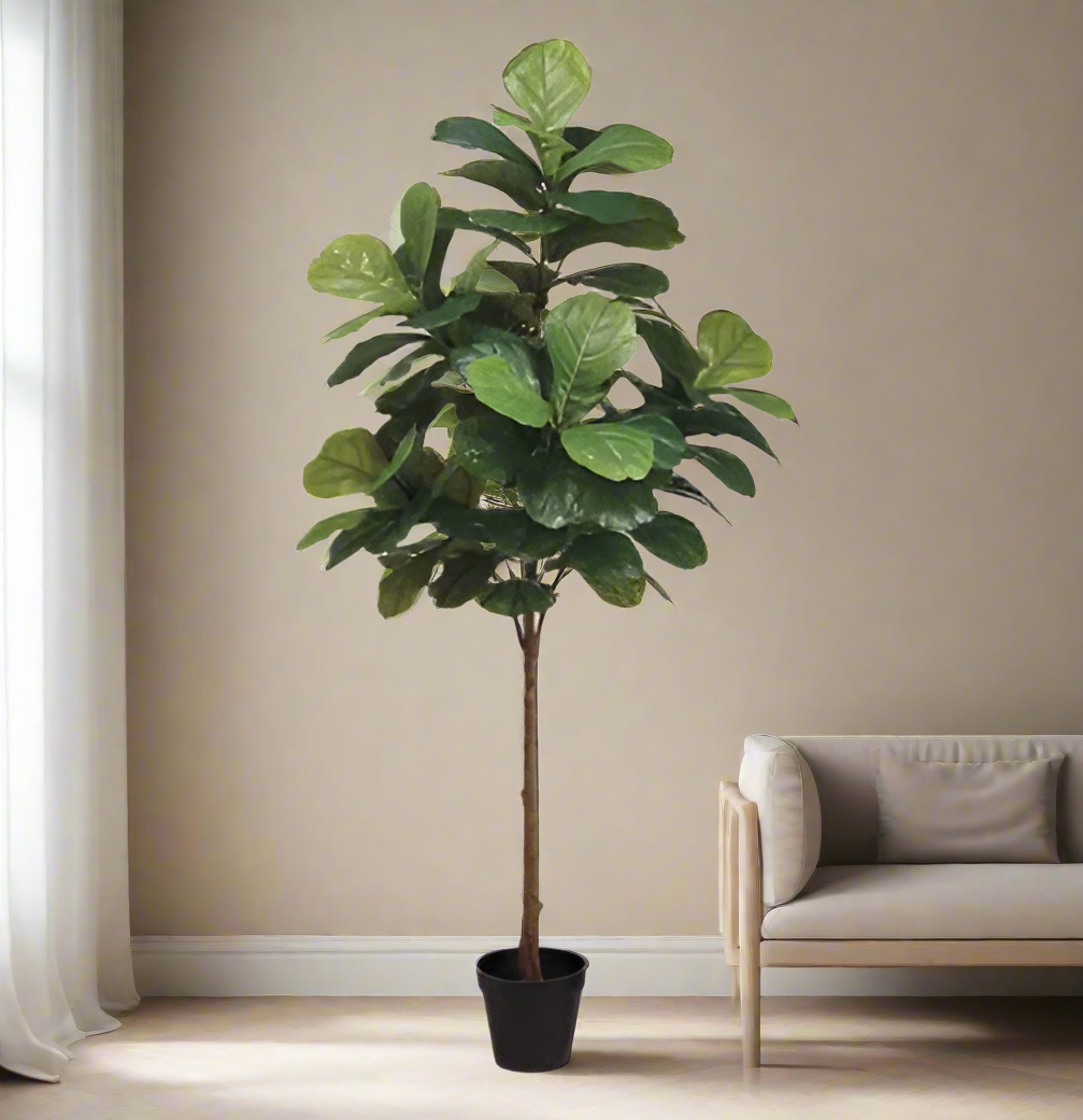 6' Fiddle Leaf Tree