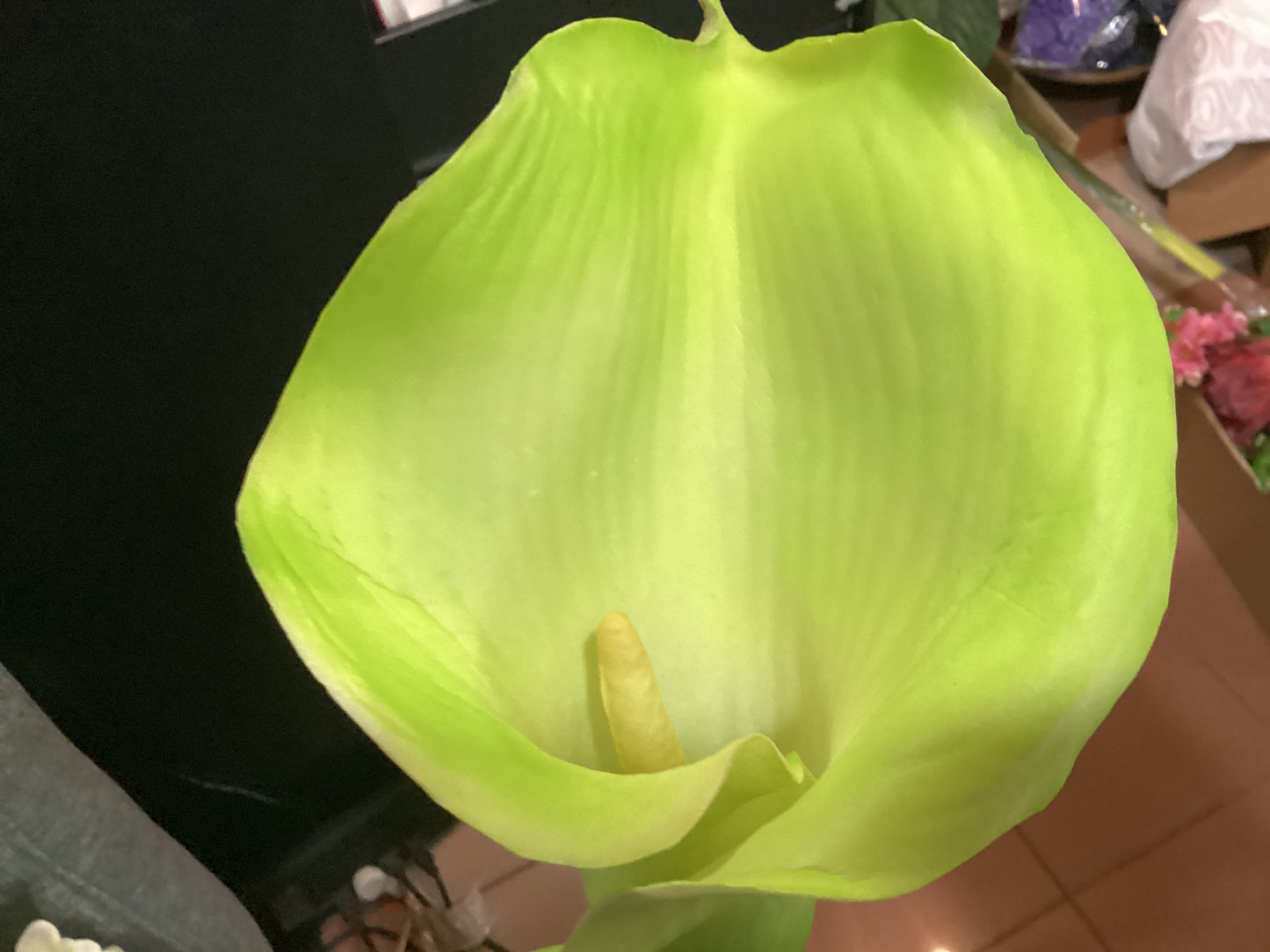 Large Calla Lily 33” - Green