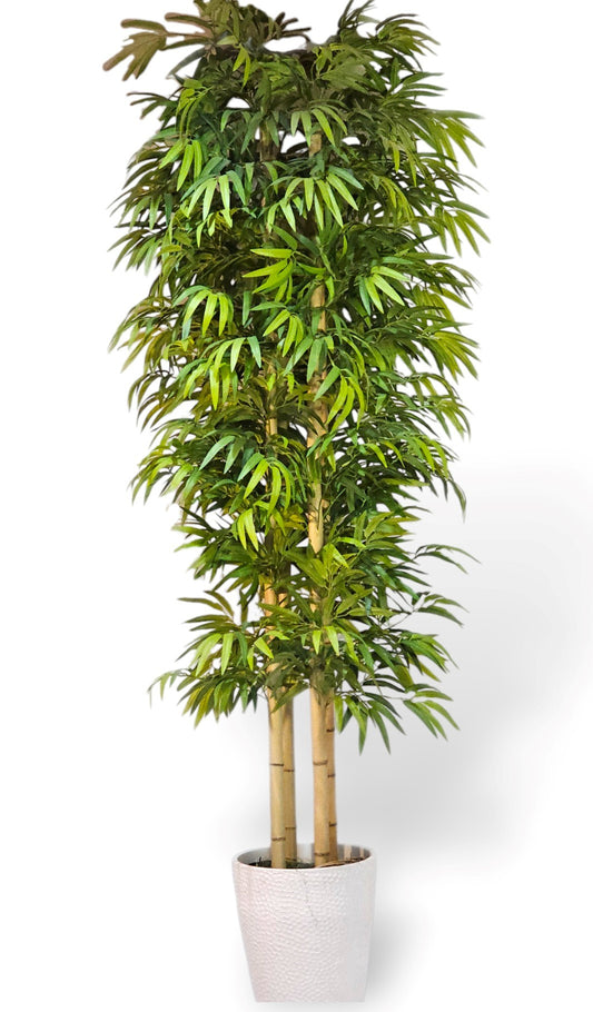 7' Bamboo Tree