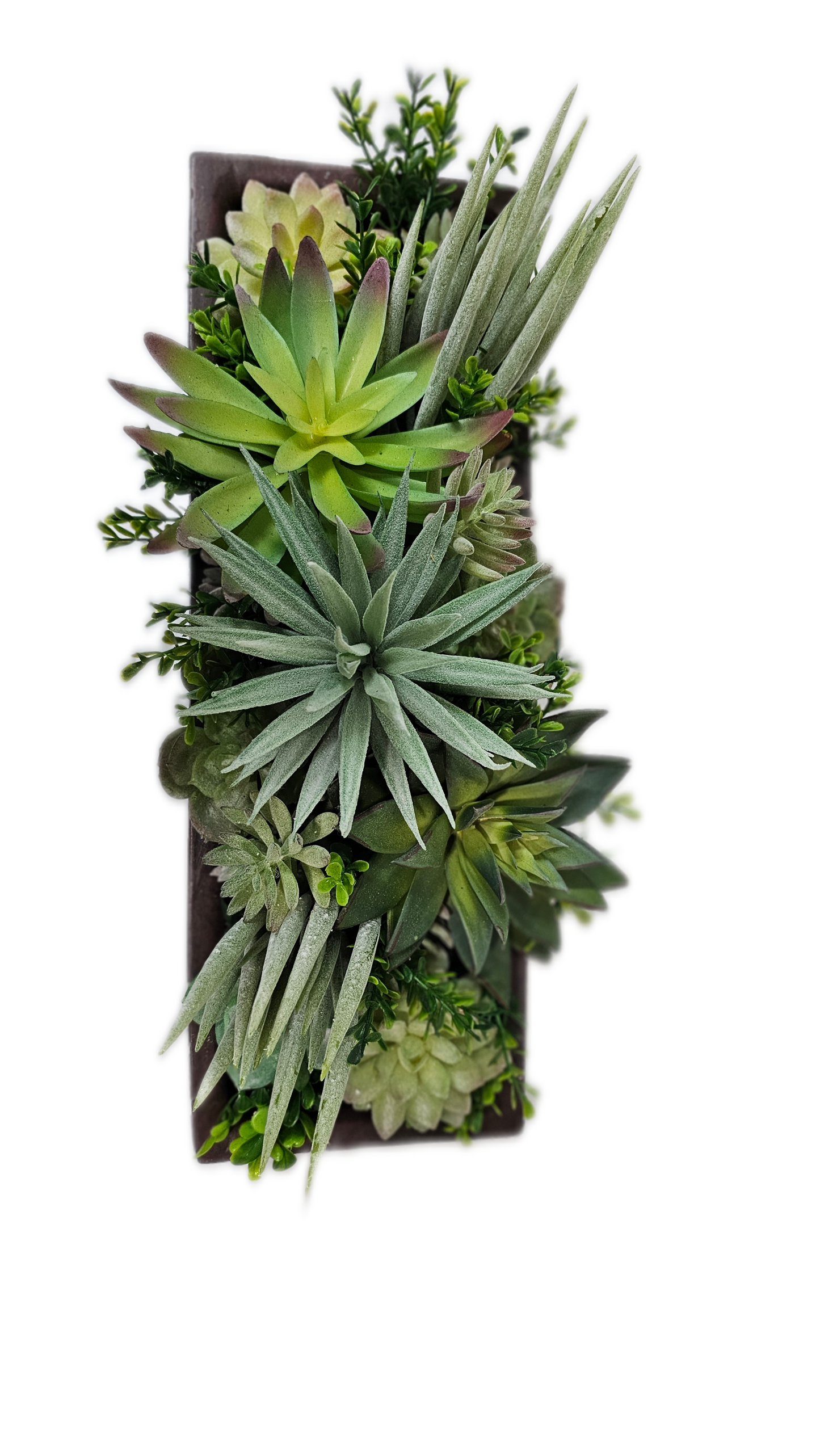 Succulent Arrangement 17.5"  rectangle vase