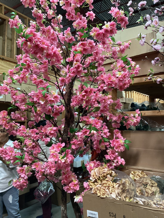 Cherry blossom tree