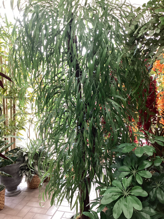 7’ Weeping Willow Tree x3