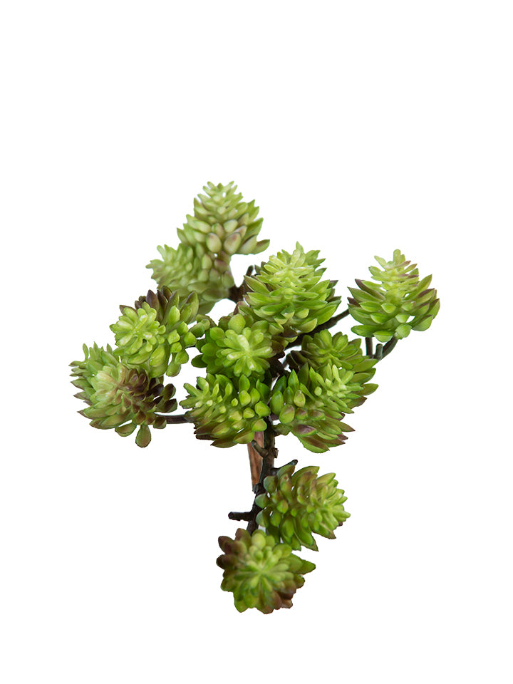 5” Sedum pick