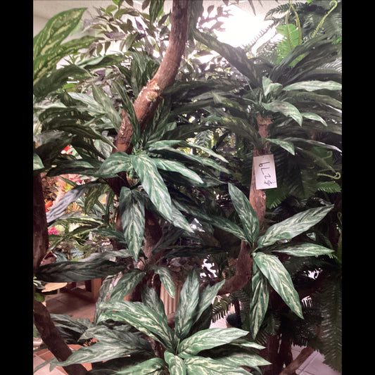 8' Silver queen treex 10