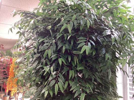 8’ Smilex Tree Full