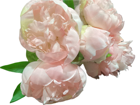 10" PEONY BUNDLE