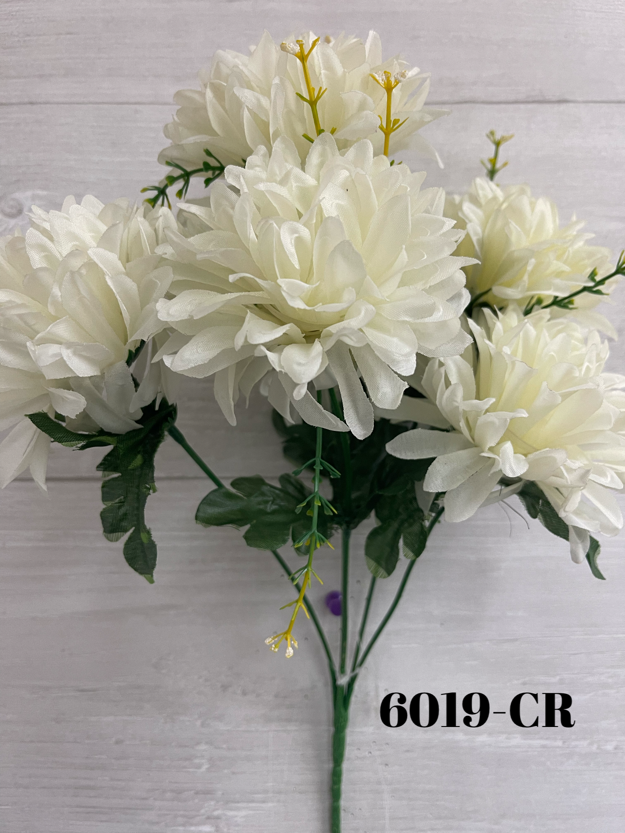 Mum Bush x6 Dozen Bag -CR