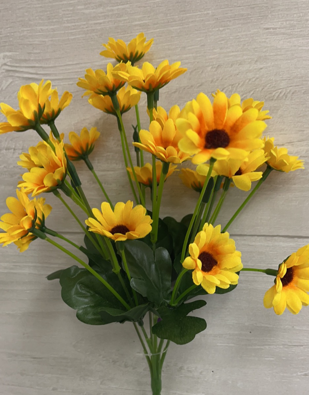 Mini Sunflowers Dozen Bag