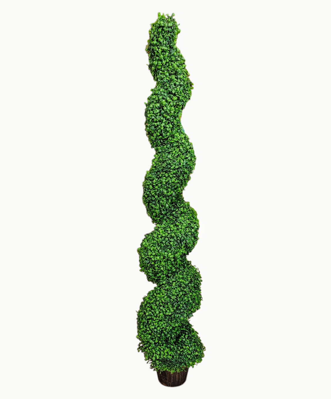 5’ Boxwood Spiral Topiary